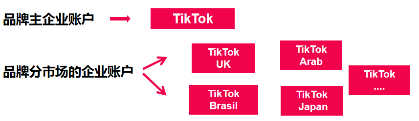 TikTok企业账户四个阶段经历分享，快来珍藏！