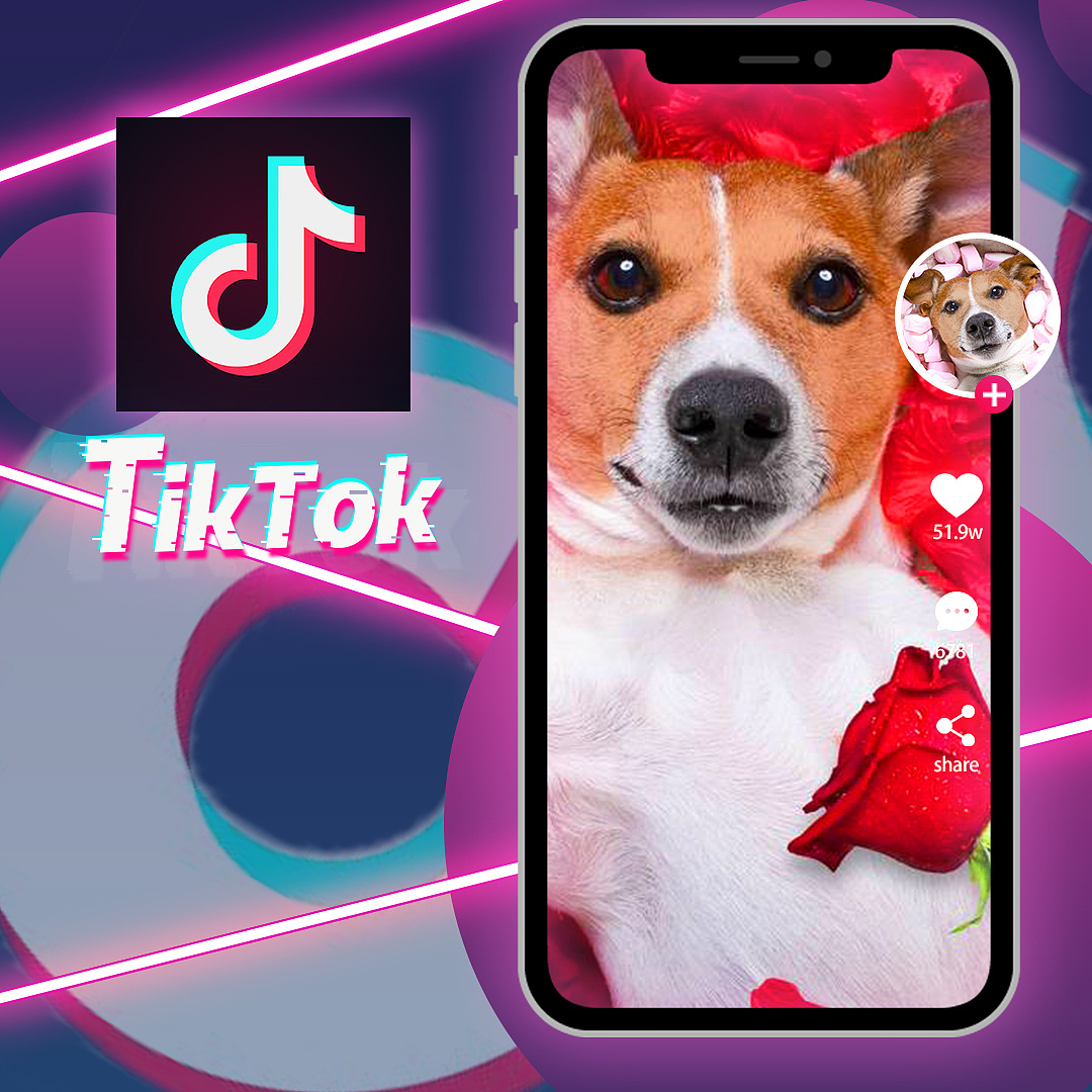 TIK TOK广告视频及|其他|其他|骏哥与你同在 - 原创作品 - 站酷 (ZCOOL)