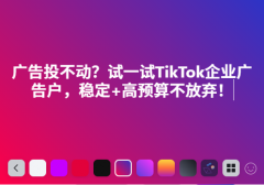 广告投不动？试一试TikTok企业广告户，稳