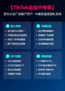 【TikTok企业户专享】官方认证广告账户开