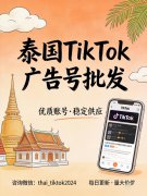 泰国TikTok广告号批发：东南亚电商批量布