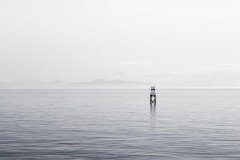 广告投流中的＂资产健康度＂是什么？如