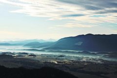 MCNTAP特价资源与批发资源完整指南