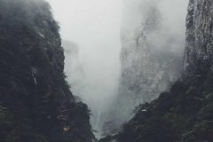 X(Twitter)视频广告：短内容时代的信息传递